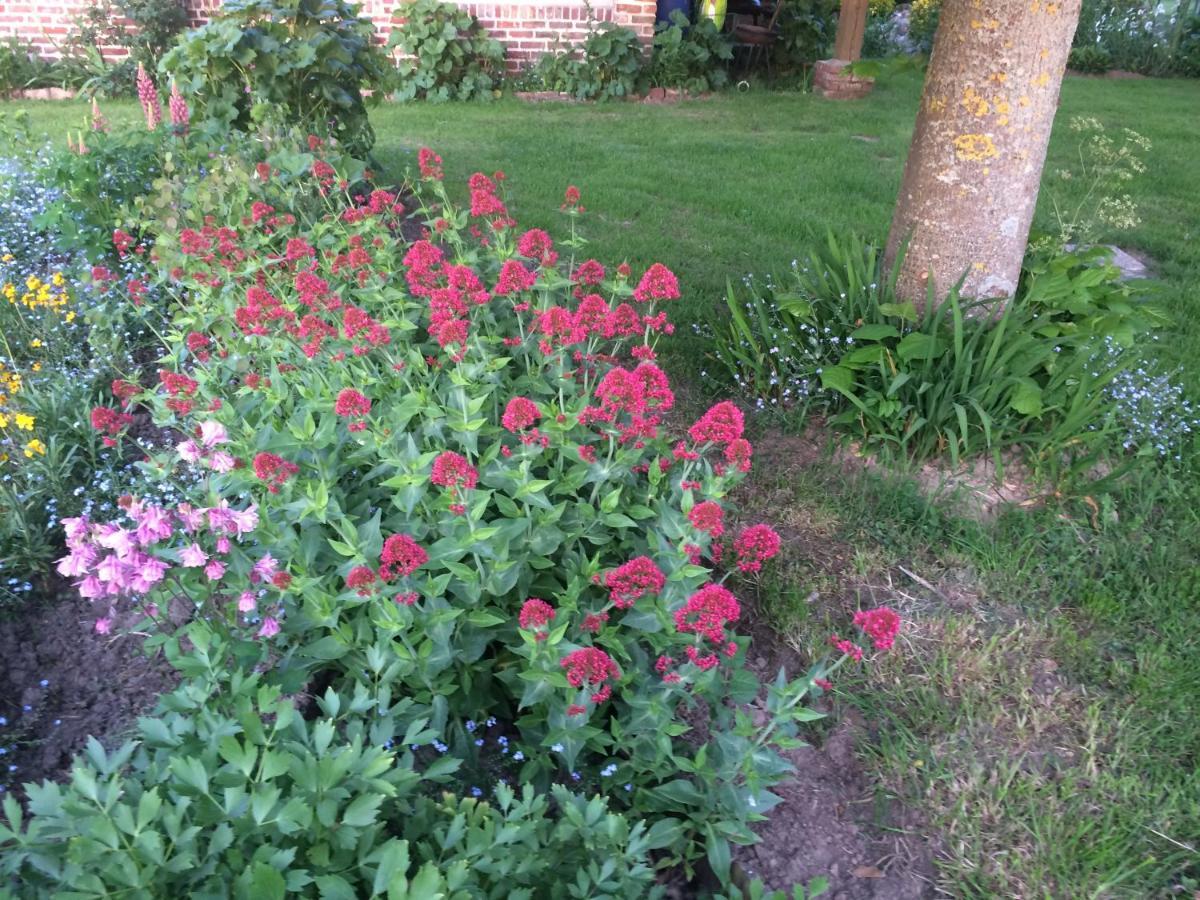 Villa les coquelicots à Nibas Extérieur photo